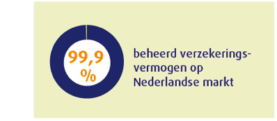 Beheer verzekeringsvermogen op Nederlandse markt