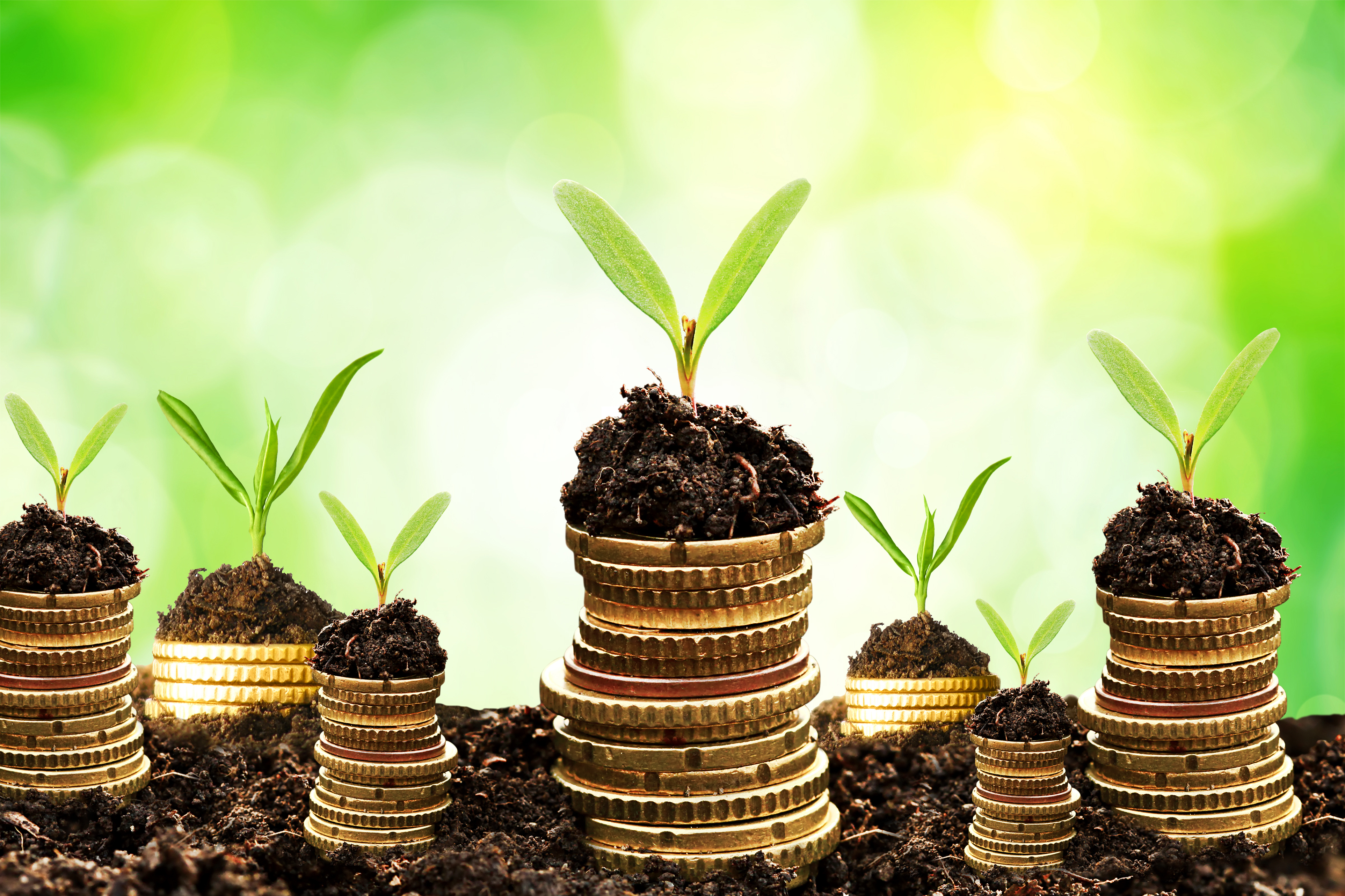 Annual report 2018-2019 Agreement for International Responsible Investment in the Insurance Sector