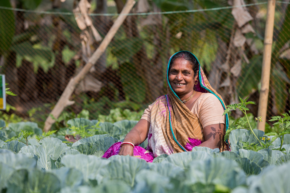 Bangladesh: zoute landbouw