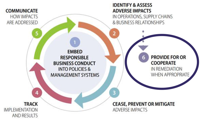 Due diligence process % supporting measures